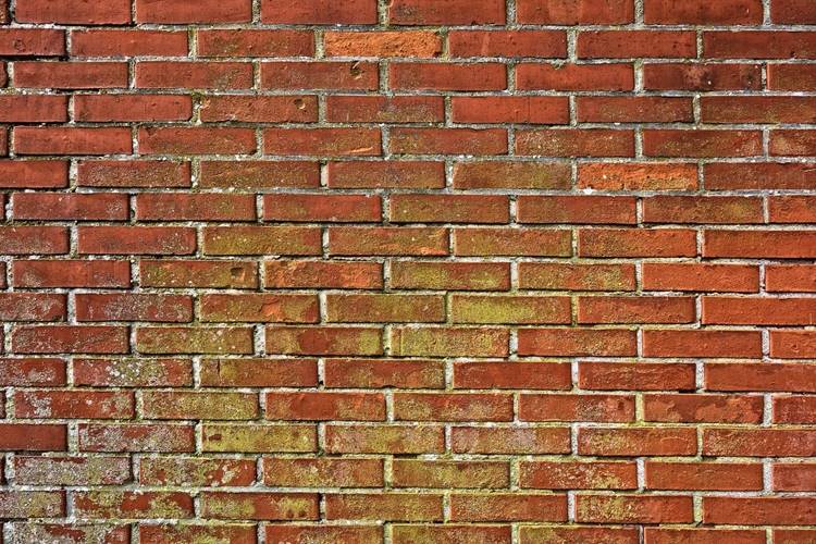 Red brick wall covered in mold spots